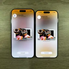 Dwa iPhone'y, jeden obok drugiego, prezentują udostępnianie zdjęć pączków. Porównanie iPhone 16 Pro Max wymiary.