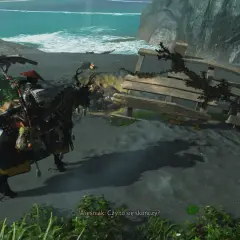 Samuraj na koniu szuka pomocnej dłoni w Ghost of Tsushima, zbliżając się do wraku statku na plaży.