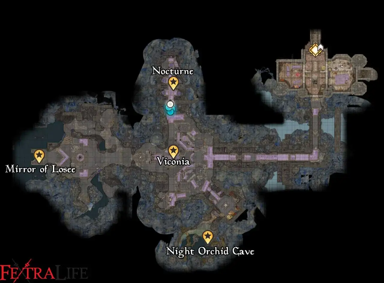 Mapa lokacji w BG3: Nocturne, Viconia, Mirror of Losee, Night Orchid Cave. To dom żalu w świecie gry.