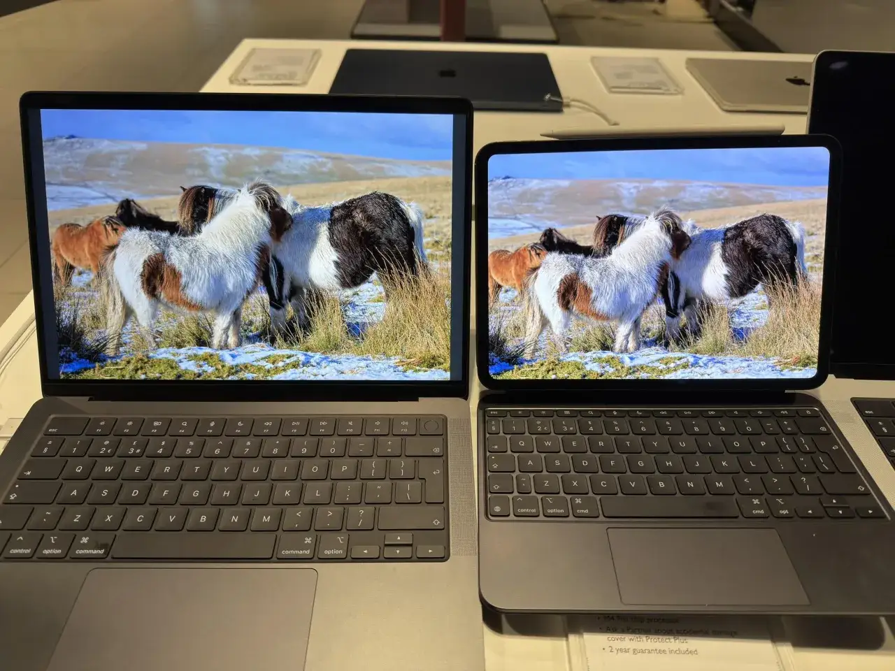 Dwie matryce w laptopach wyświetlają ten sam obrazek: stadko koników na tle zimowego krajobrazu.