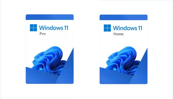Dwa pakiety oprogramowania: Windows 11 Home vs Pro, z niebieskimi, falistymi wzorami.